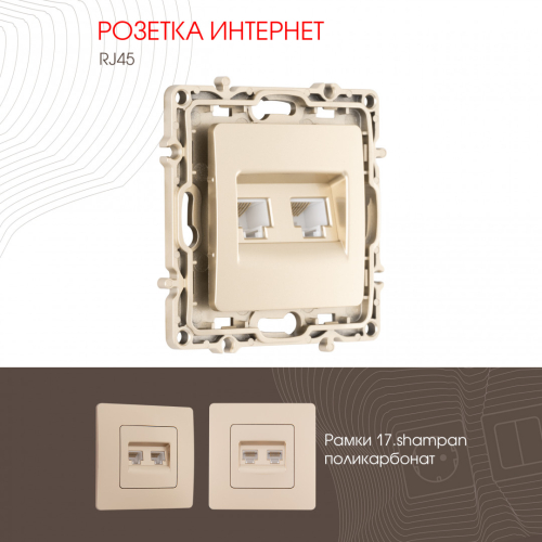 Розетка RJ45 Arte Milano 217.45-2.shampan дополнительное фото
