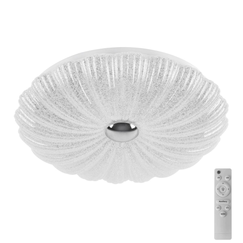 Настенно-потолочный светильник Lightstar Arco Shell 225650 изображение в интернет-магазине Cramer Light