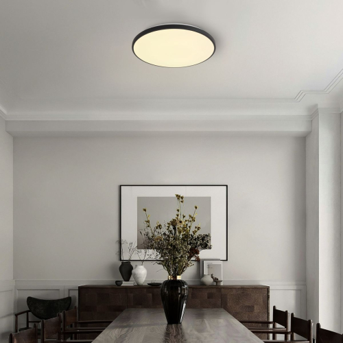 Потолочный светильник Freya Obelle FR6211CL-L24B изображение в интернет-магазине Cramer Light фото 8