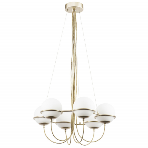 Подвесная люстра Lightstar 803263 изображение в интернет-магазине Cramer Light