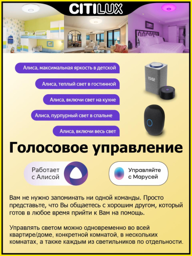 Накладной светильник Citilux CL713A80G изображение в интернет-магазине Cramer Light фото 4