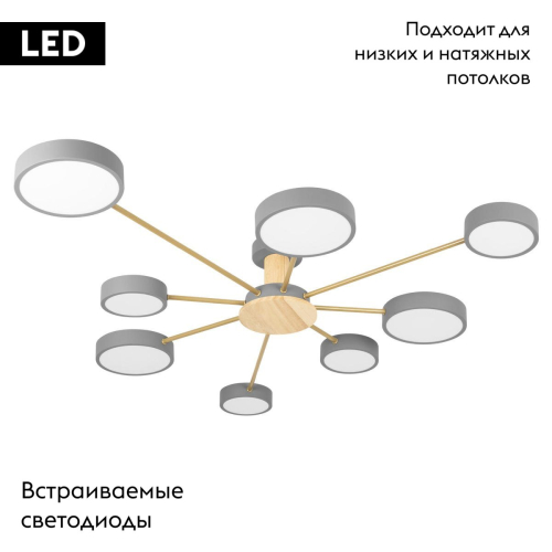 Потолочная люстра Loft IT Sunrise 10316/8 Grey изображение в интернет-магазине Cramer Light фото 2