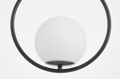 Подвесной светильник Lampit Vero TP 2101-1 BK изображение в интернет-магазине Cramer Light фото 2