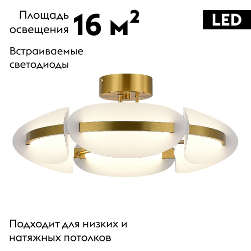 Потолочная люстра ST Luce Etoile SL1304.302.45 изображение в интернет-магазине Cramer Light фото 2