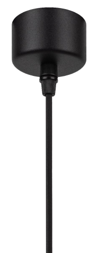 Подвесной светильник Эра PL18 BK/CL Б0058483 изображение в интернет-магазине Cramer Light фото 5