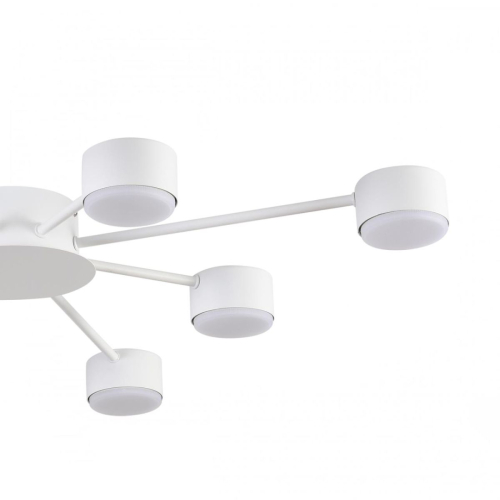 Потолочная люстра Lumion Comfi Torina 8343/8C изображение в интернет-магазине Cramer Light фото 6