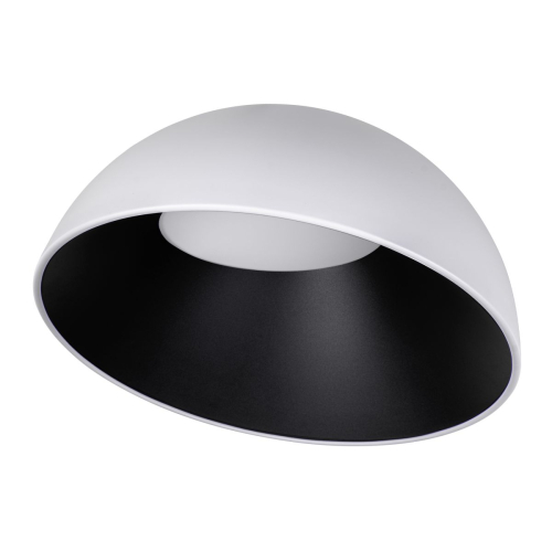 Потолочный светильник Loft IT Egg 10197/500 WB изображение в интернет-магазине Cramer Light