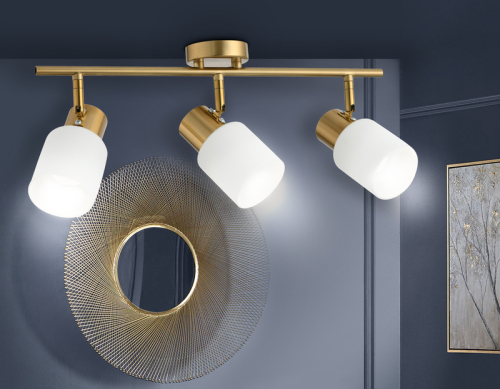 Спот Ambrella Light Traditional TR3972 изображение в интернет-магазине Cramer Light фото 5