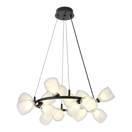 Подвесная люстра Lussole Inglewood LSP-6063 изображение в интернет-магазине Cramer Light