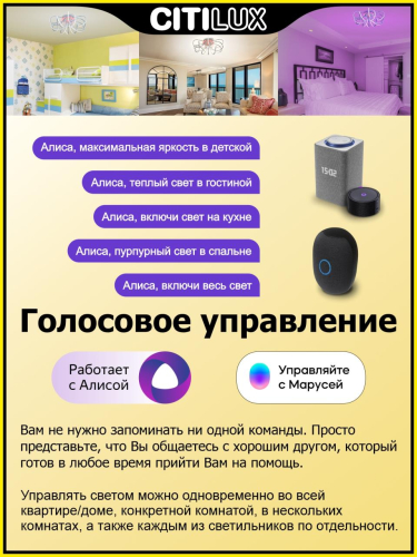 Потолочная люстра Citilux Джемини Смарт CL229A161E изображение в интернет-магазине Cramer Light фото 4