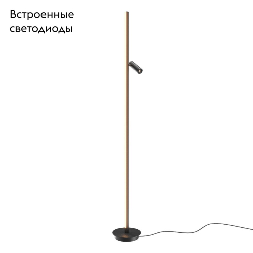 Торшер Maytoni Thin MOD395FL-L28B3K изображение в интернет-магазине Cramer Light фото 2