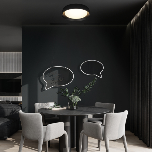 Потолочный светильник Loft IT Coin 10202 BB изображение в интернет-магазине Cramer Light фото 7