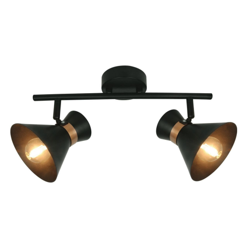 Спот Arte Lamp Baltimore A1406AP-2BK изображение в интернет-магазине Cramer Light фото 5