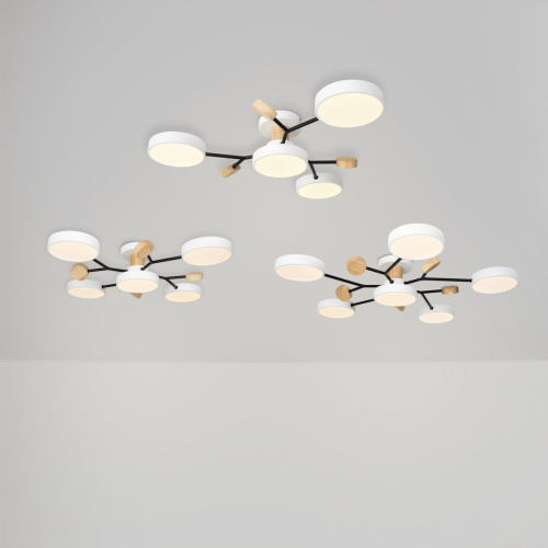 Потолочный светильник Freya Crown FR6119CL-L48W изображение в интернет-магазине Cramer Light фото 5