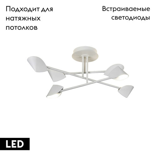 Потолочная люстра Mantra Capuccina 7573 изображение в интернет-магазине Cramer Light фото 2