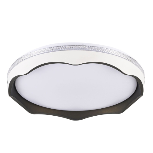Потолочный светильник LED4U L3039-470 BK изображение в интернет-магазине Cramer Light
