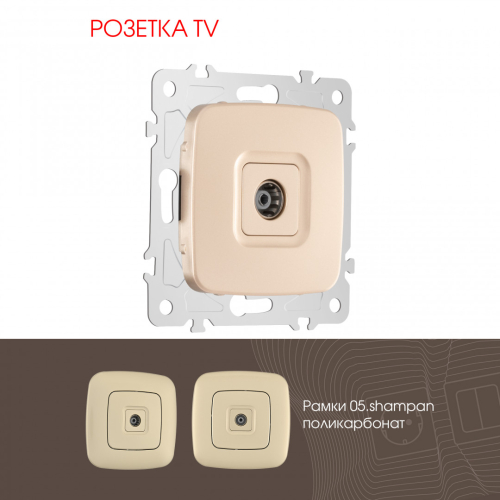 Розетка TV Arte Milano 205.43-1.shampan дополнительное фото