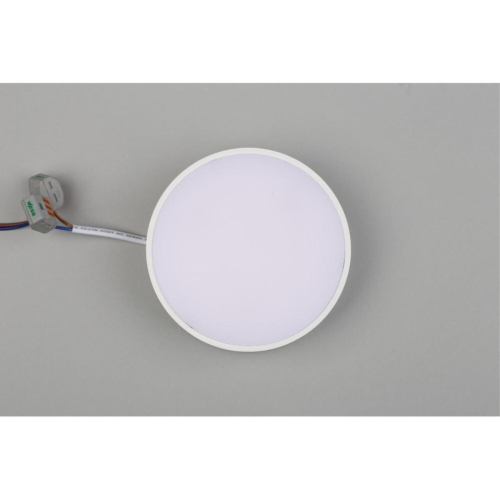 Потолочный светильник Aployt Evon APL.0113.09.12 изображение в интернет-магазине Cramer Light фото 6