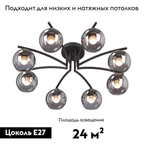 Потолочная люстра Vitaluce V4285-1/8PL изображение в интернет-магазине Cramer Light фото 2