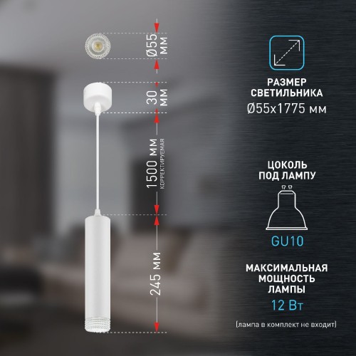 Подвесной светильник Эра PL18 WH/CL Б0058481 изображение в интернет-магазине Cramer Light фото 10