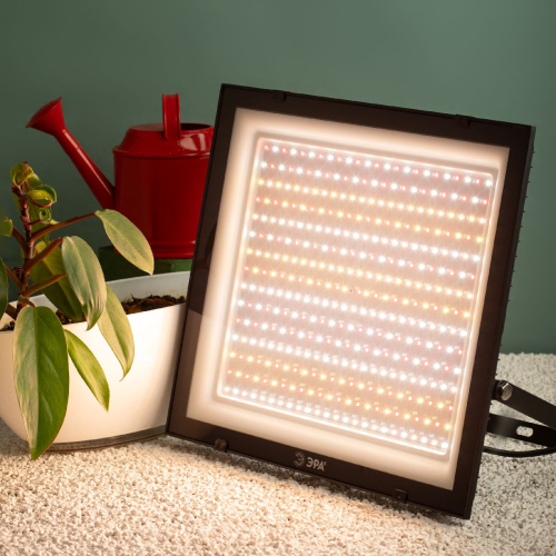 Фитопрожектор Эра FITO-200W-Ra90-LED Б0059879 изображение в интернет-магазине Cramer Light фото 8