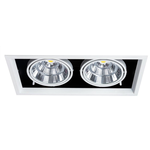 Встраиваемый светильник Arte Lamp Merga A8450PL-2WH изображение в интернет-магазине Cramer Light фото 3