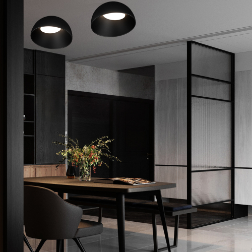 Потолочный светильник Loft IT Egg 10197/500 BB изображение в интернет-магазине Cramer Light фото 7
