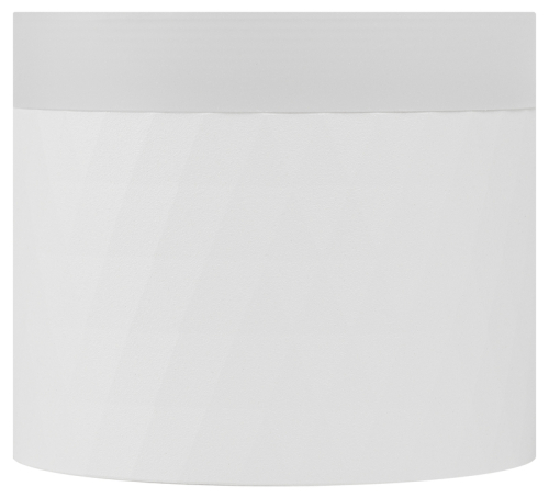 Накладной светильник Эра OL37 WH Б0056385 изображение в интернет-магазине Cramer Light фото 3