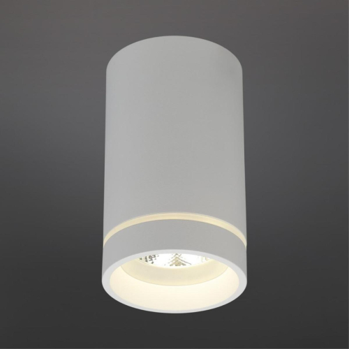 Потолочный светильник Aployt Edda APL.0054.09.10 изображение в интернет-магазине Cramer Light фото 2