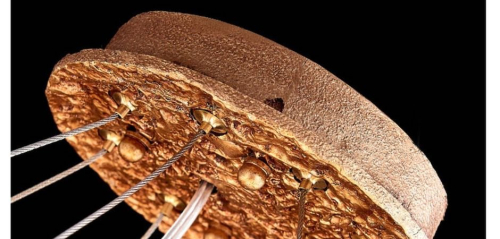 Подвесная люстра ImperiumLoft Fairytree 184495-22 изображение в интернет-магазине Cramer Light фото 2