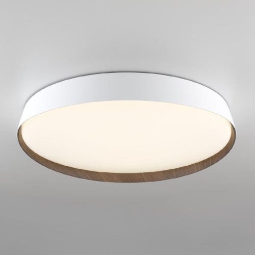Потолочный светильник Citilux Bonny CL754450G изображение в интернет-магазине Cramer Light фото 5