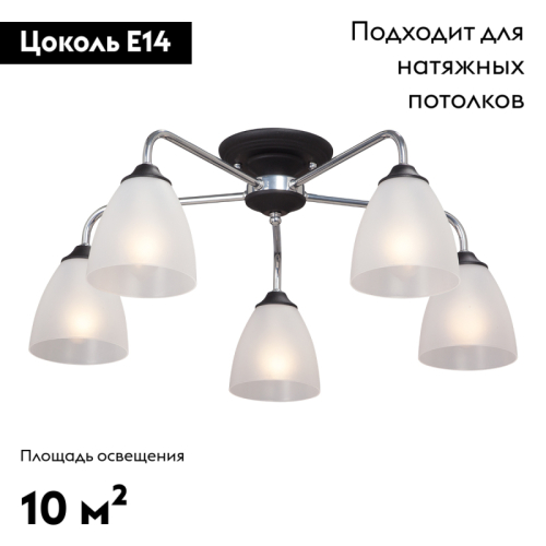 Потолочная люстра Vitaluce V3946-1/5PL изображение в интернет-магазине Cramer Light фото 2