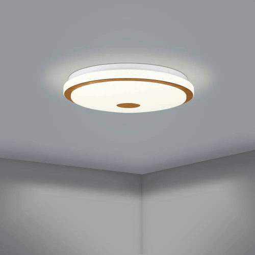 Потолочный светильник Eglo Lanciano 1 900599 изображение в интернет-магазине Cramer Light фото 4
