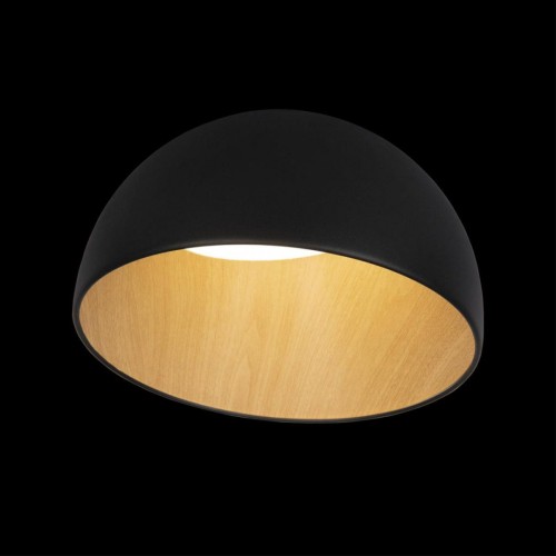 Потолочный светильник Loft IT Egg 10197/350 Black изображение в интернет-магазине Cramer Light фото 2