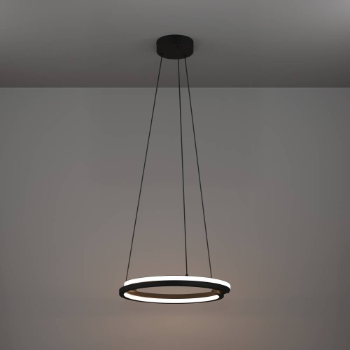 Подвесной светильник Eglo Mezzomonte 901822 изображение в интернет-магазине Cramer Light фото 7