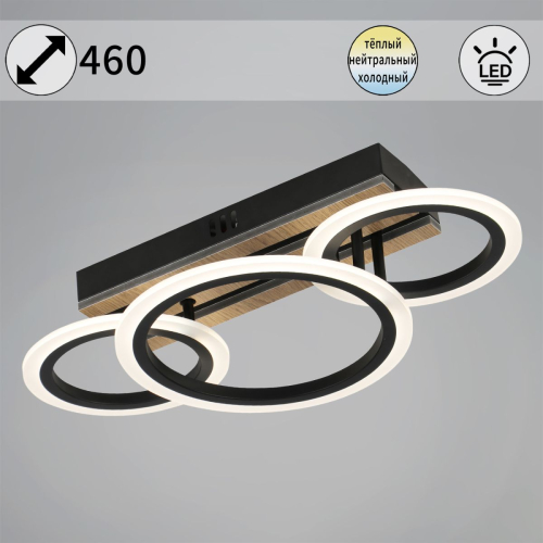 Потолочный светильник Reluce 00330-0.3-2+1 изображение в интернет-магазине Cramer Light