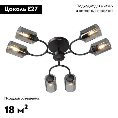 Потолочная люстра Vitaluce V2823-1/6PL изображение в интернет-магазине Cramer Light фото 2