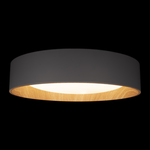 Потолочный светильник Loft IT Coin 10202 Grey изображение в интернет-магазине Cramer Light фото 6