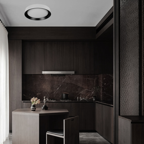 Потолочный светильник Loft IT Coin 10202 WB изображение в интернет-магазине Cramer Light фото 6