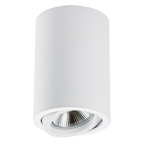Накладной светильник Lightstar Rullo 214406 изображение в интернет-магазине Cramer Light