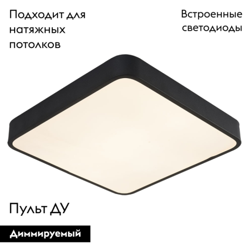 Потолочный светильник Arte Lamp A2663PL-1BK изображение в интернет-магазине Cramer Light фото 2