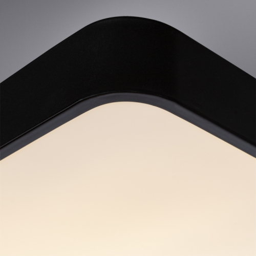 Потолочный светильник Arte Lamp A2663PL-1BK изображение в интернет-магазине Cramer Light фото 6