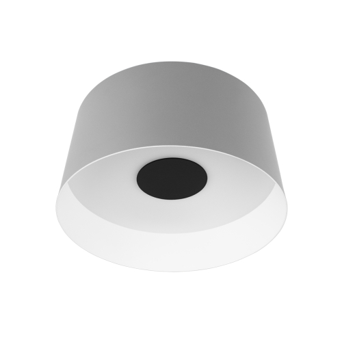Потолочный светильник Loft IT Duo 10360M Grey изображение в интернет-магазине Cramer Light