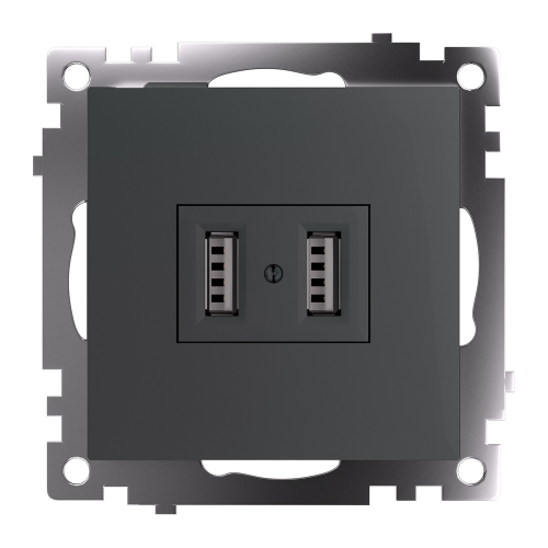 Розетка USB Stekker Катрин GLS10-7115-06 49422 дополнительное фото