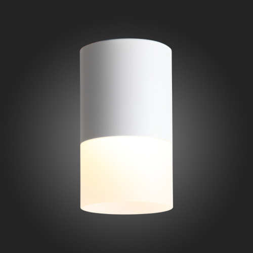 Накладной светильник ST Luce ST100.502.10 изображение в интернет-магазине Cramer Light фото 3