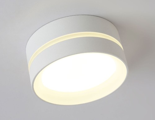 Накладной светильник Ambrella Light IP Protect TN5391 изображение в интернет-магазине Cramer Light фото 6