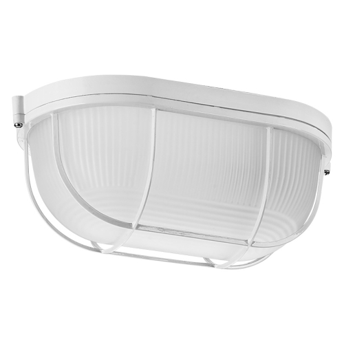 Настенно-потолочный светильник Wolta ДПБ04-100-002 изображение в интернет-магазине Cramer Light