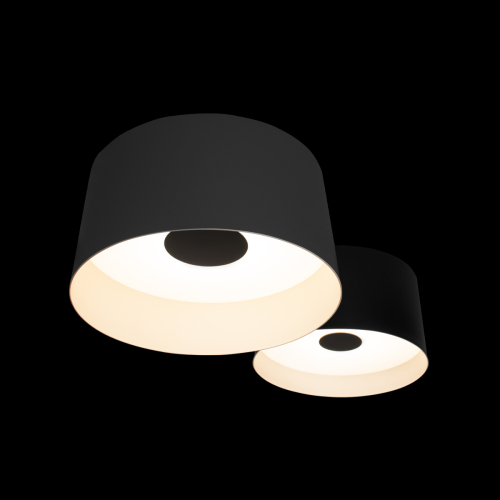 Потолочный светильник Loft IT Duo 10360/2 изображение в интернет-магазине Cramer Light фото 6