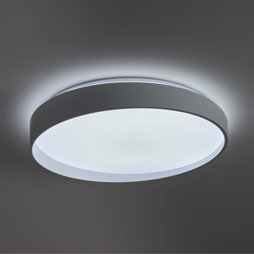 Потолочный светильник Freya Pass FR6222CL-L84W изображение в интернет-магазине Cramer Light фото 6
