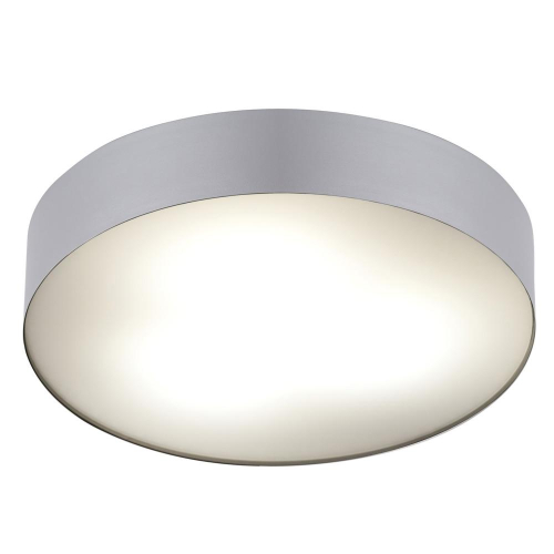 Потолочный cветильник Nowodvorski Arena Silver 10182 изображение в интернет-магазине Cramer Light